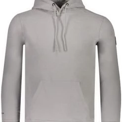 Airforce Hoodies & Sweatvesten Hoodies Grijs Gray